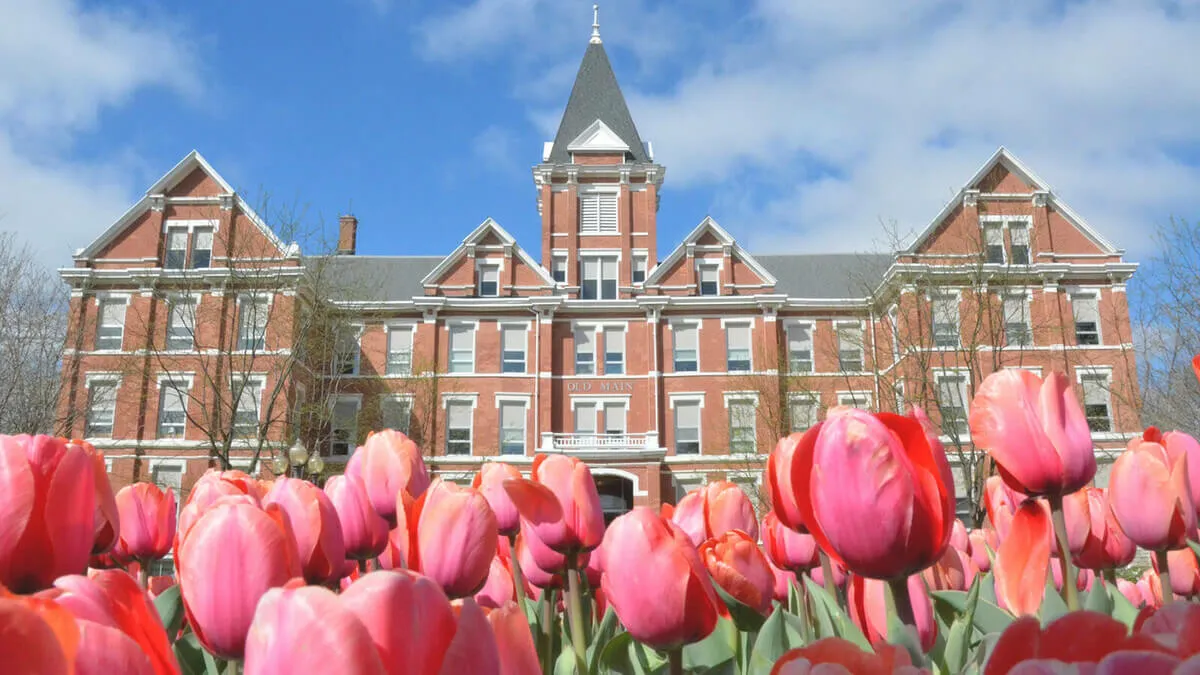 University of Findlay