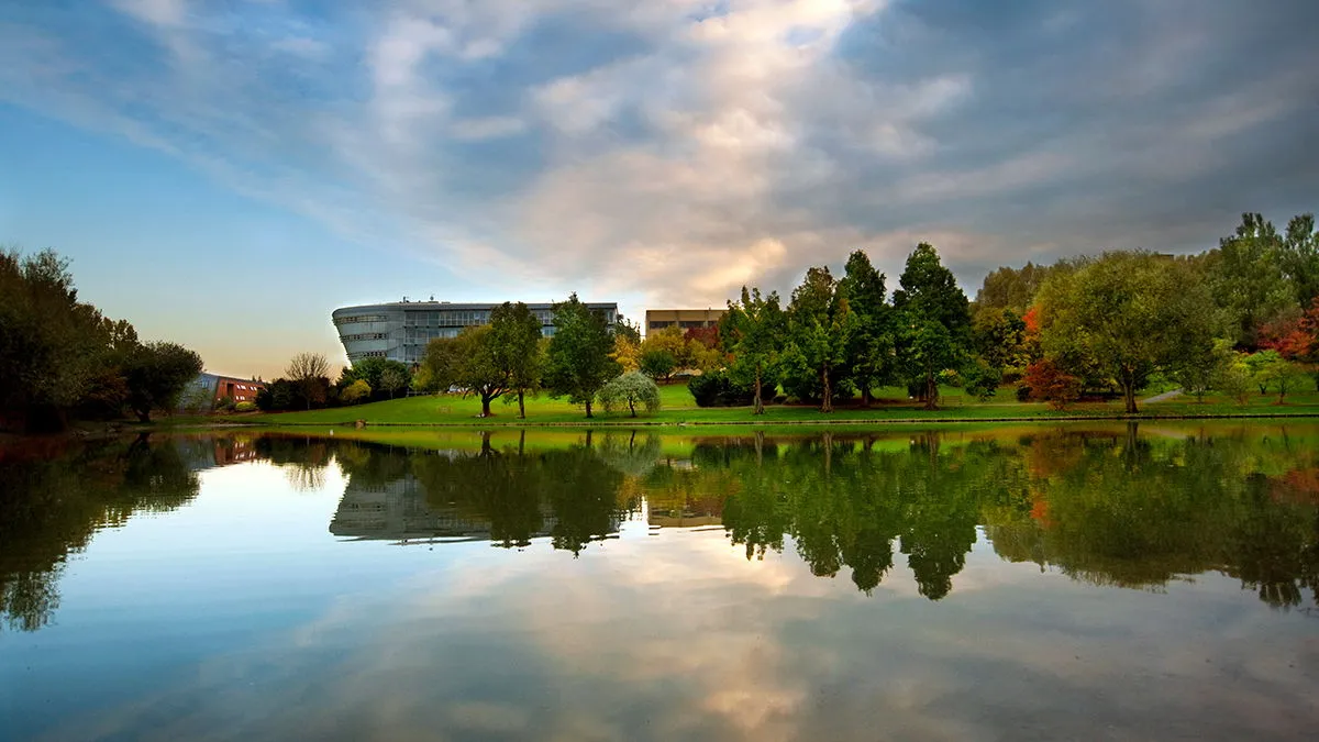 University of Surrey